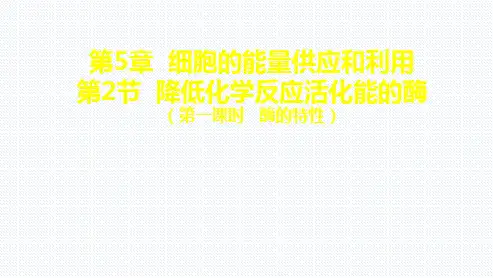 【公开课】降低化学反应活化能的酶课件2021-2022学年高一上学期生物人教版必修1
