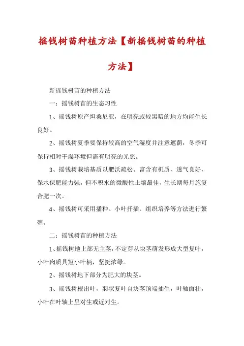 摇钱树苗种植方法【新摇钱树苗的种植方法】