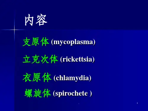 微生物原体立克次体衣原体螺旋体