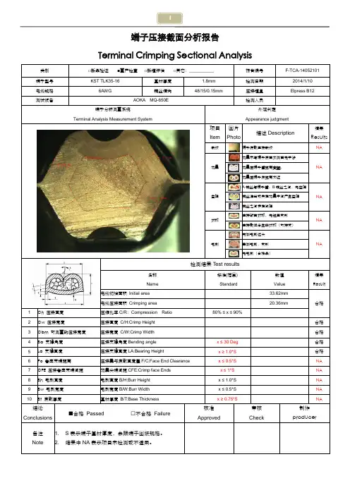 端子截面分析报告模板