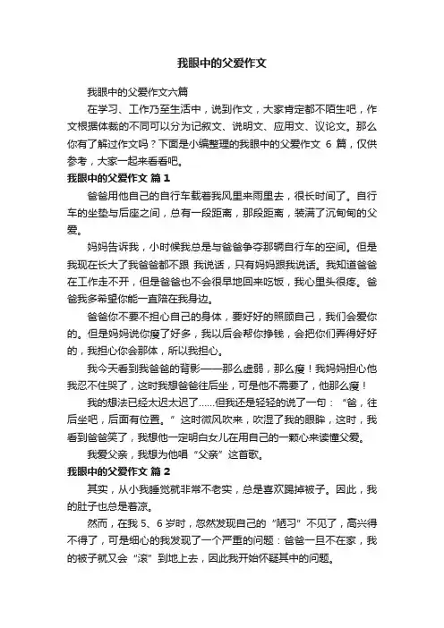 我眼中的父爱作文六篇