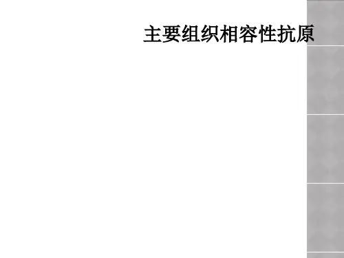 主要组织相容性抗原
