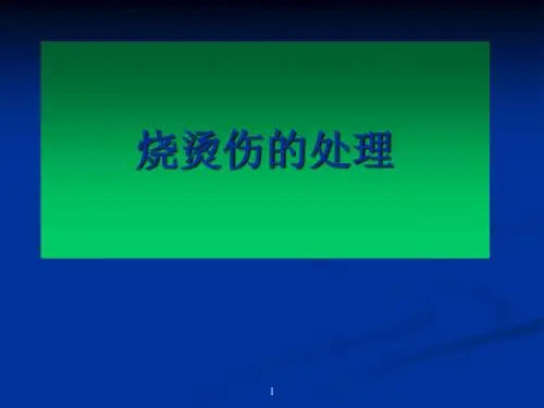 烧伤处理方法ppt课件