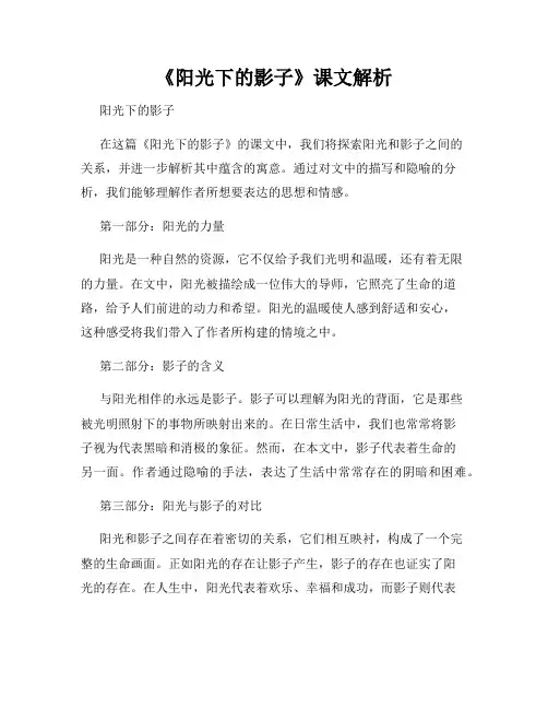 《阳光下的影子》课文解析