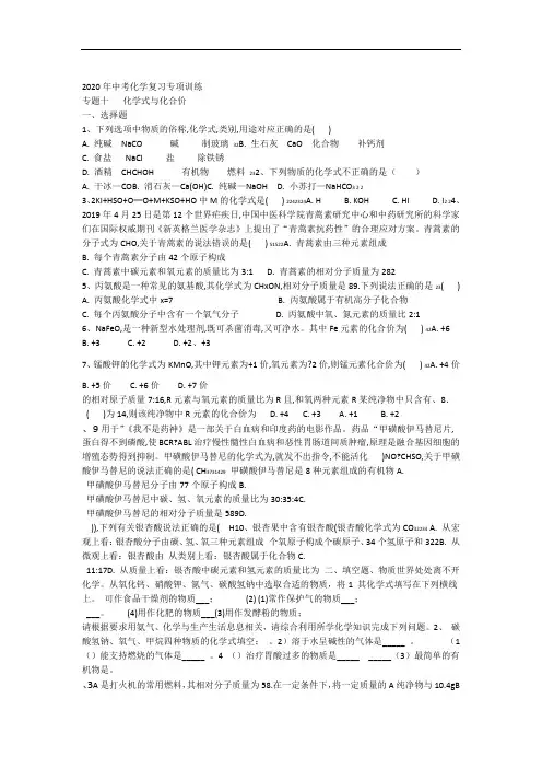 2020中考化学复习专项训练  专题十 化学式和化合价
