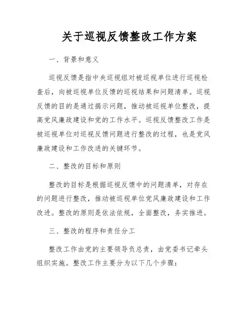 关于巡视反馈整改工作方案