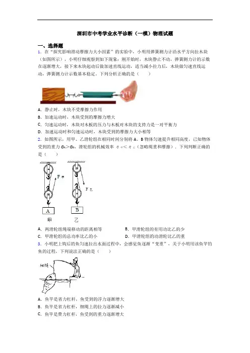 深圳市中考学业水平诊断(一模)物理试题