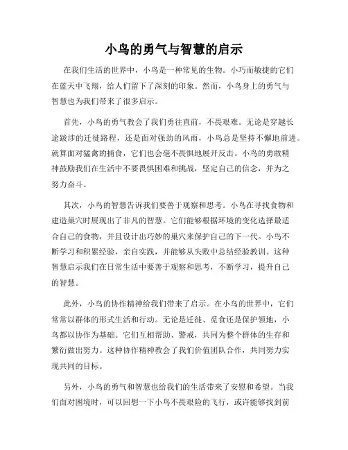 小鸟的勇气与智慧的启示