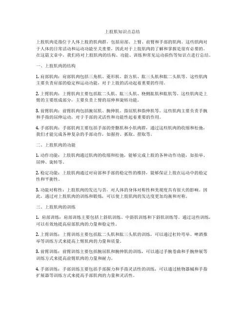 上肢肌知识点总结