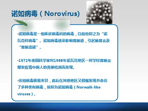 诺如病毒防控知识PPT课件