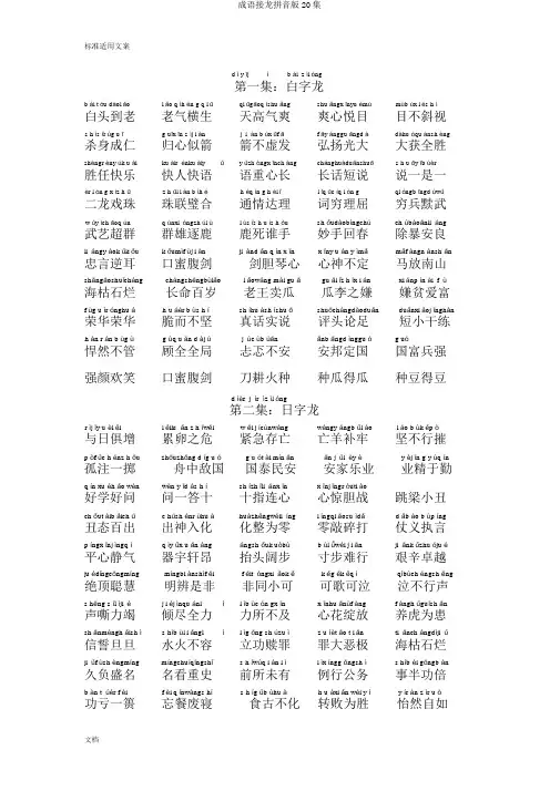 成语接龙拼音版20集