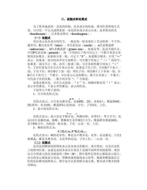 三、花程式和花图式