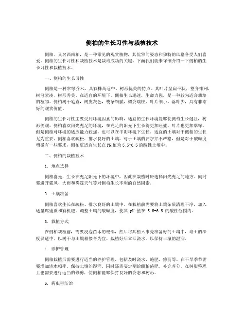 侧柏的生长习性与栽植技术