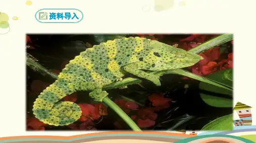 初中语文人教九年级下册《变色龙》 完整版课件