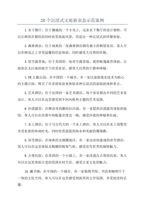 20个沉浸式文旅新业态示范案例