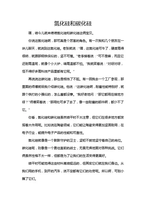 氮化硅和碳化硅