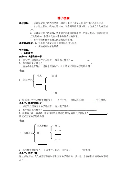 2020年七年级生物上册 3.1.2 种子植物导学案 (新版)新人教版