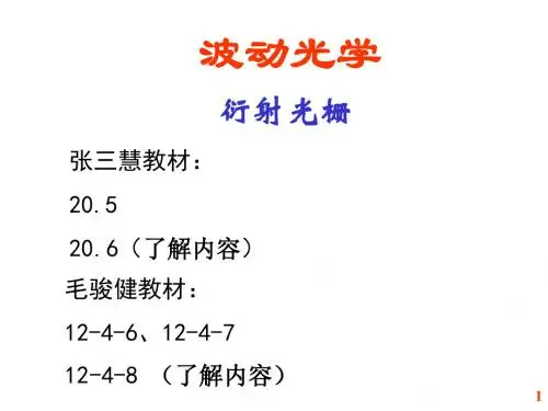 光栅-PPT精品文档