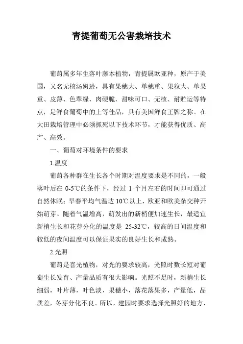 青提葡萄无公害栽培技术