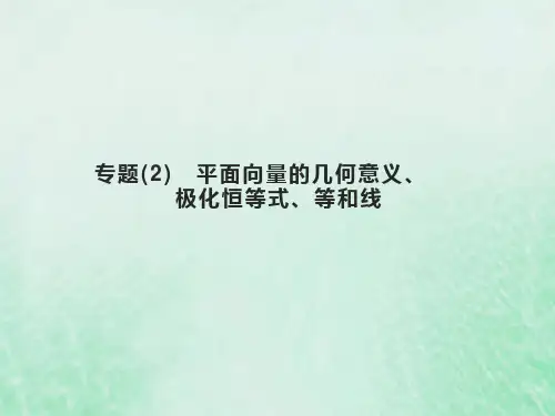 2023高考数学基础知识综合复习专题2平面向量的几何意义极化恒等式等和线 课件(共12张PPT)