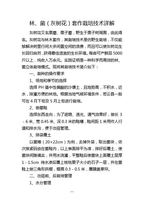 林、菌(灰树花)套作栽培技术详解