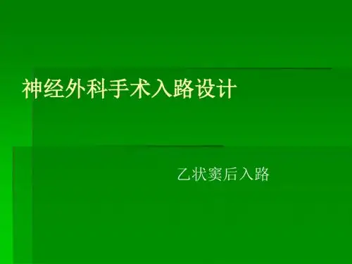 (重点)神经外科手术入路设计