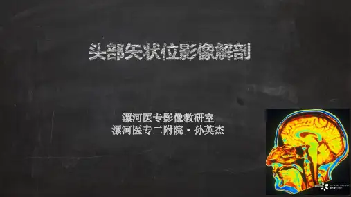 头部矢状断层解剖