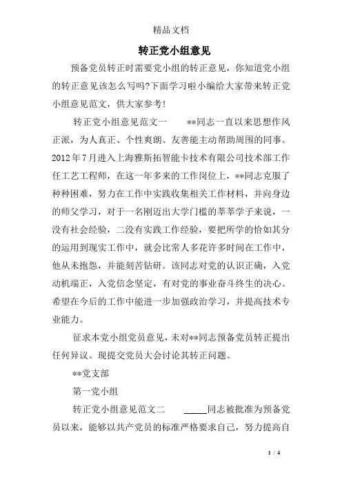转正党小组意见