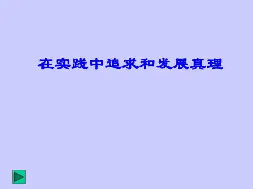 在实践中追求和发展真理ppt课件