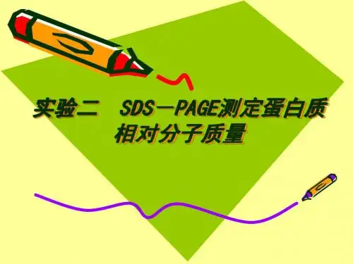 SDS-PAGE测定蛋白质