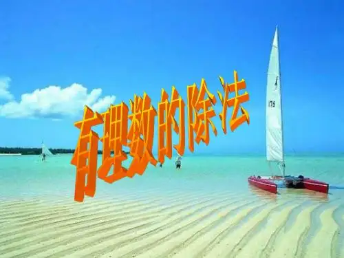 2.8有理数的除法课件