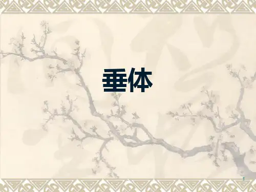 垂体的基础知识PPT课件