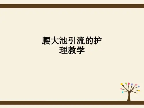 腰大池引流的护理ppt课件