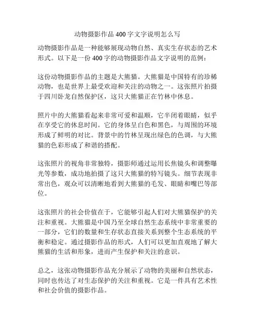 动物摄影作品400字文字说明怎么写