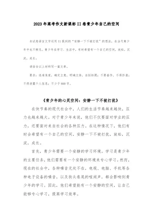 2023年高考作文新课标II卷青少年自己的空间—青少年的心灵空间：安静一下不被打扰