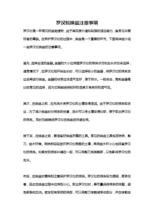 罗汉松换盆注意事项