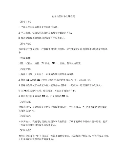 化学实验初中上课教案