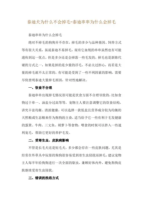 泰迪犬为什么不会掉毛-泰迪串串为什么会掉毛