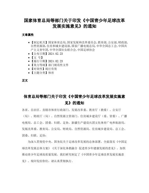 国家体育总局等部门关于印发《中国青少年足球改革发展实施意见》的通知
