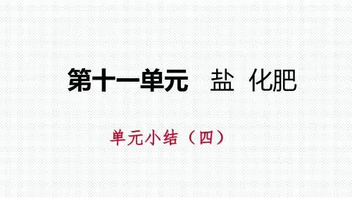 最新-人教版九年级化学下册第十一单元盐 化肥复习课件(共24张PPT)-PPT文档资料