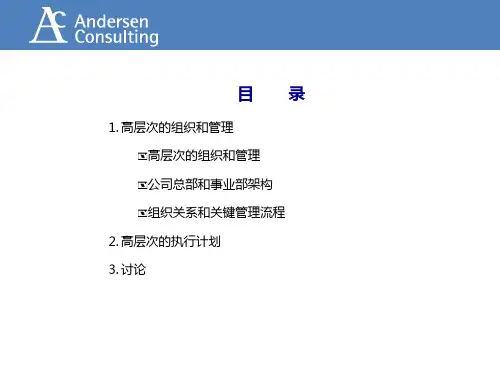 某咨询组织策略介绍和讨论