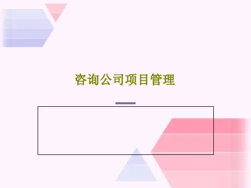 咨询公司项目管理PPT文档32页