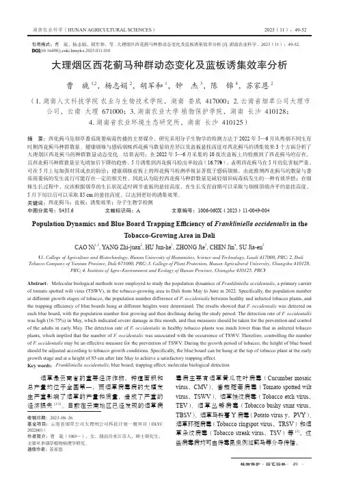 大理烟区西花蓟马种群动态变化及蓝板诱集效率分析