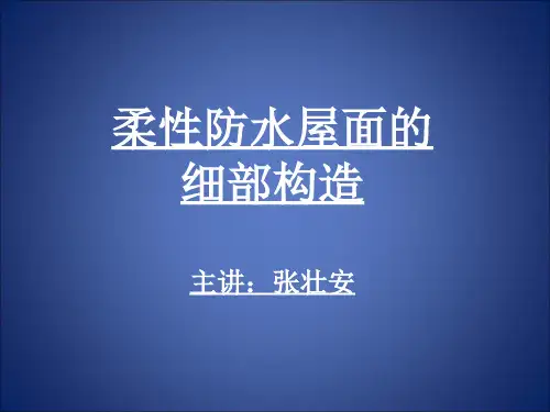 柔性防水屋面细部构造