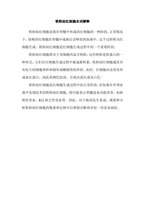 铁粒幼红细胞名词解释