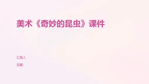 美术《奇妙的昆虫》课件
