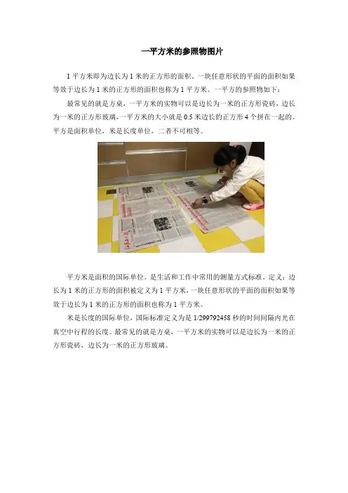 一平方米的参照物图片