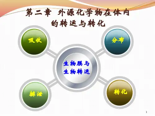 食品毒理学外源化学物在体内的转运与转化课件