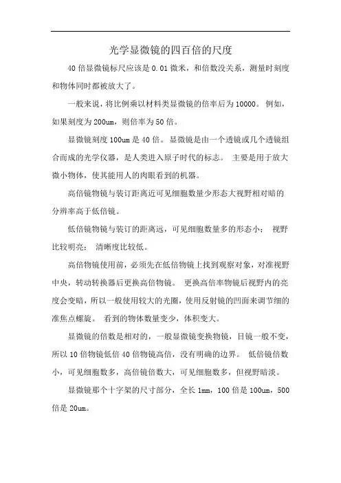 光学显微镜的四百倍的尺度
