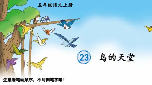 《鸟的天堂》生字教学课件
